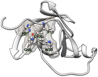 Packpred: Predicting the Functional Effect of Missense Mutations